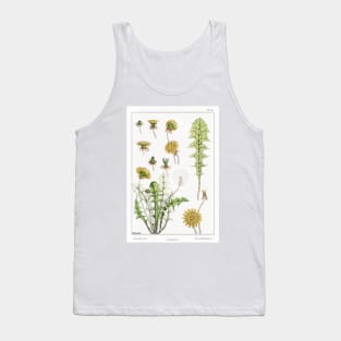 Dandelion (1896) Tank Top